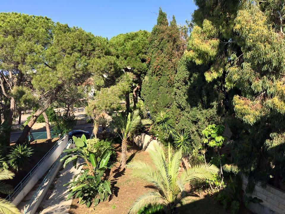 Carmel Mountain Motel Hayfa Dış mekan fotoğraf
