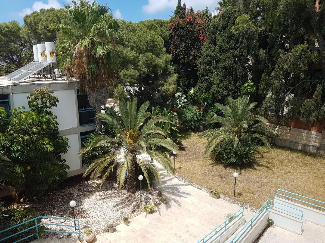 Carmel Mountain Motel Hayfa Dış mekan fotoğraf